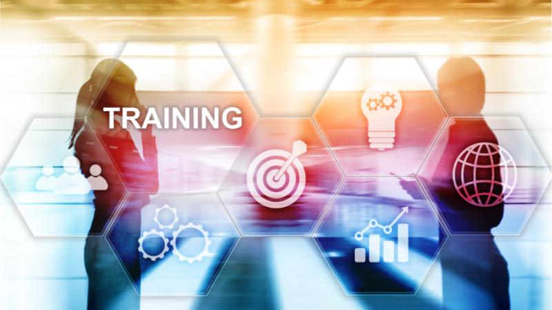 Reducing ERP Training Costs  
