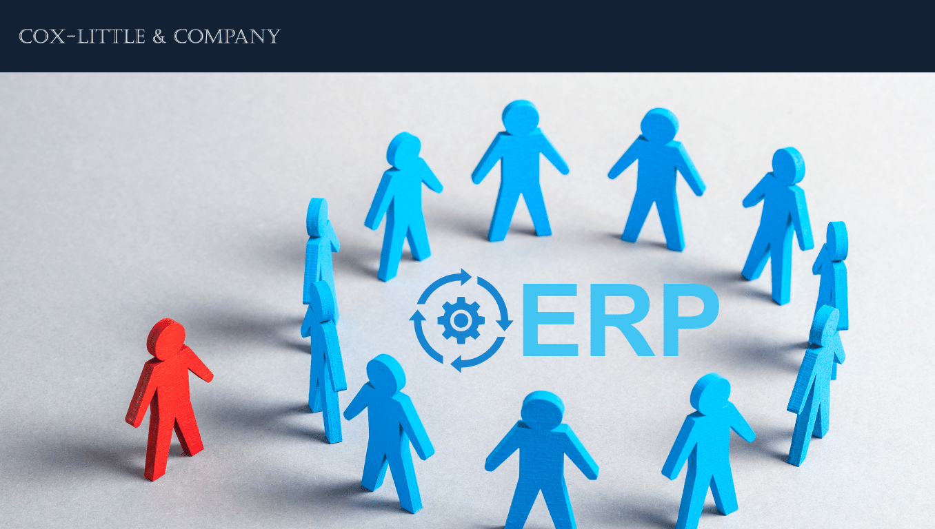 Which ERP roles ensure a successful ERP implementation?