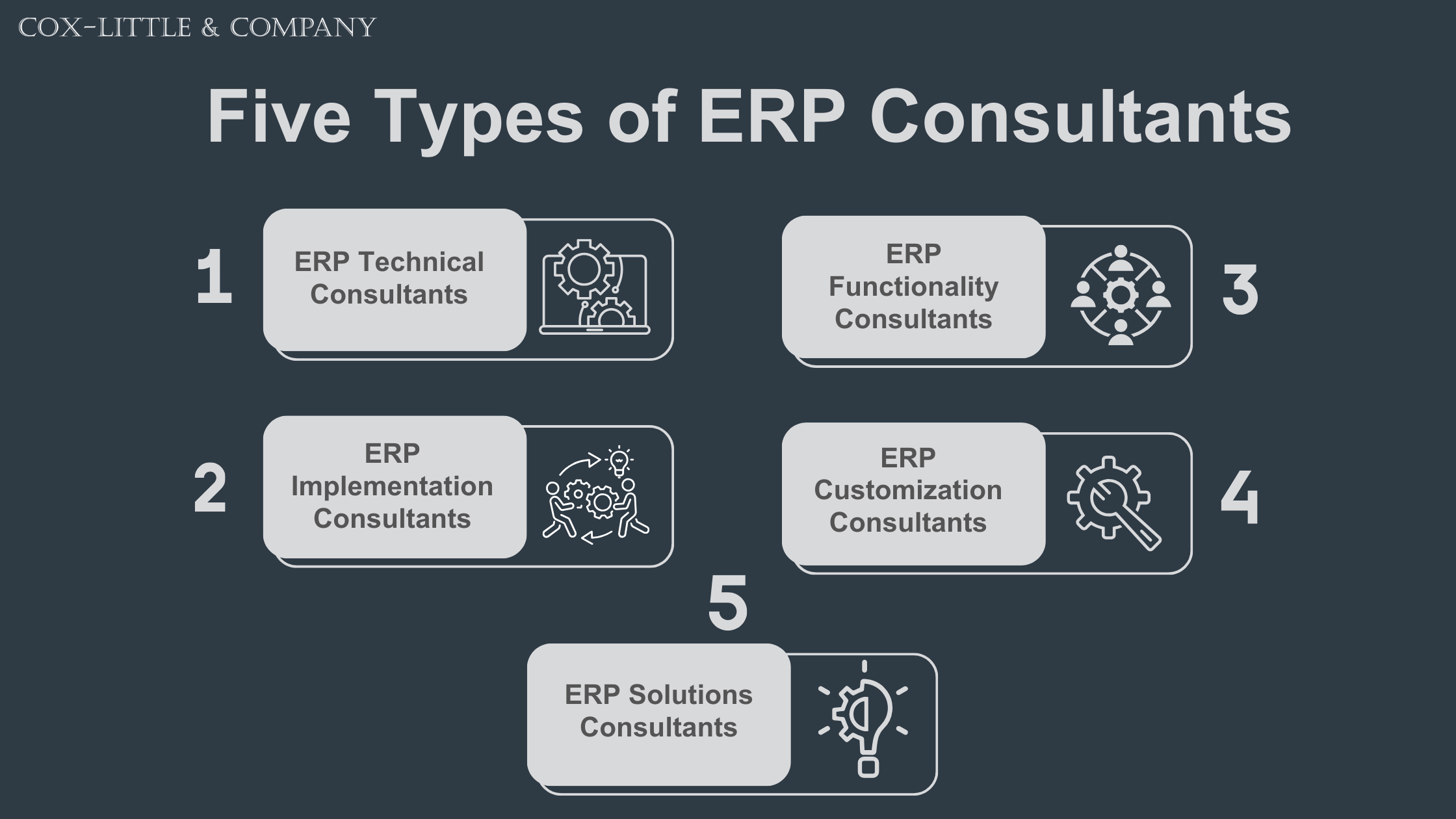 Five Types of ERP Consultants 