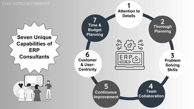 Seven Unique Capabilities of ERP Consultants